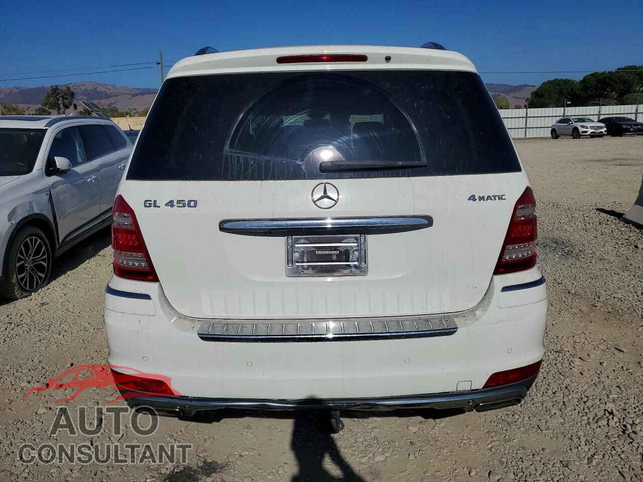 MERCEDES-BENZ GL-CLASS 2010 - 4JGBF7BE9AA550054