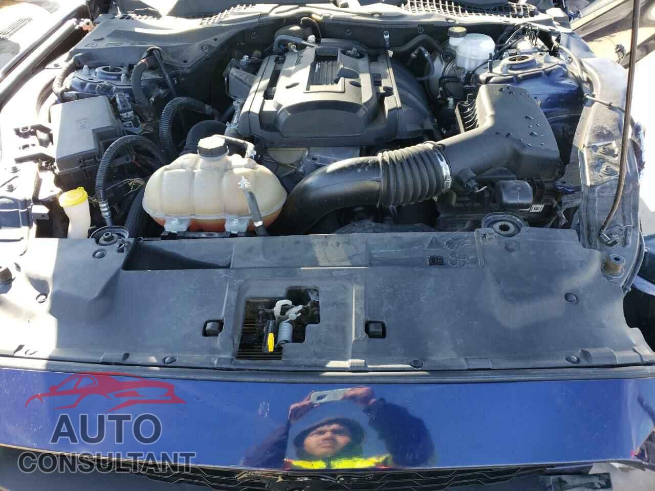 FORD MUSTANG 2019 - 1FA6P8TH4K5125083
