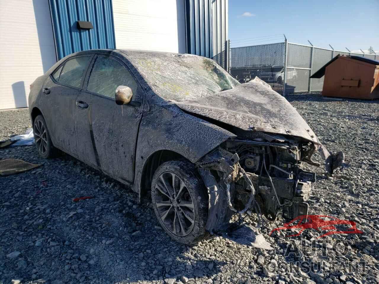 TOYOTA COROLLA 2019 - 2T1BURHE5KC172261
