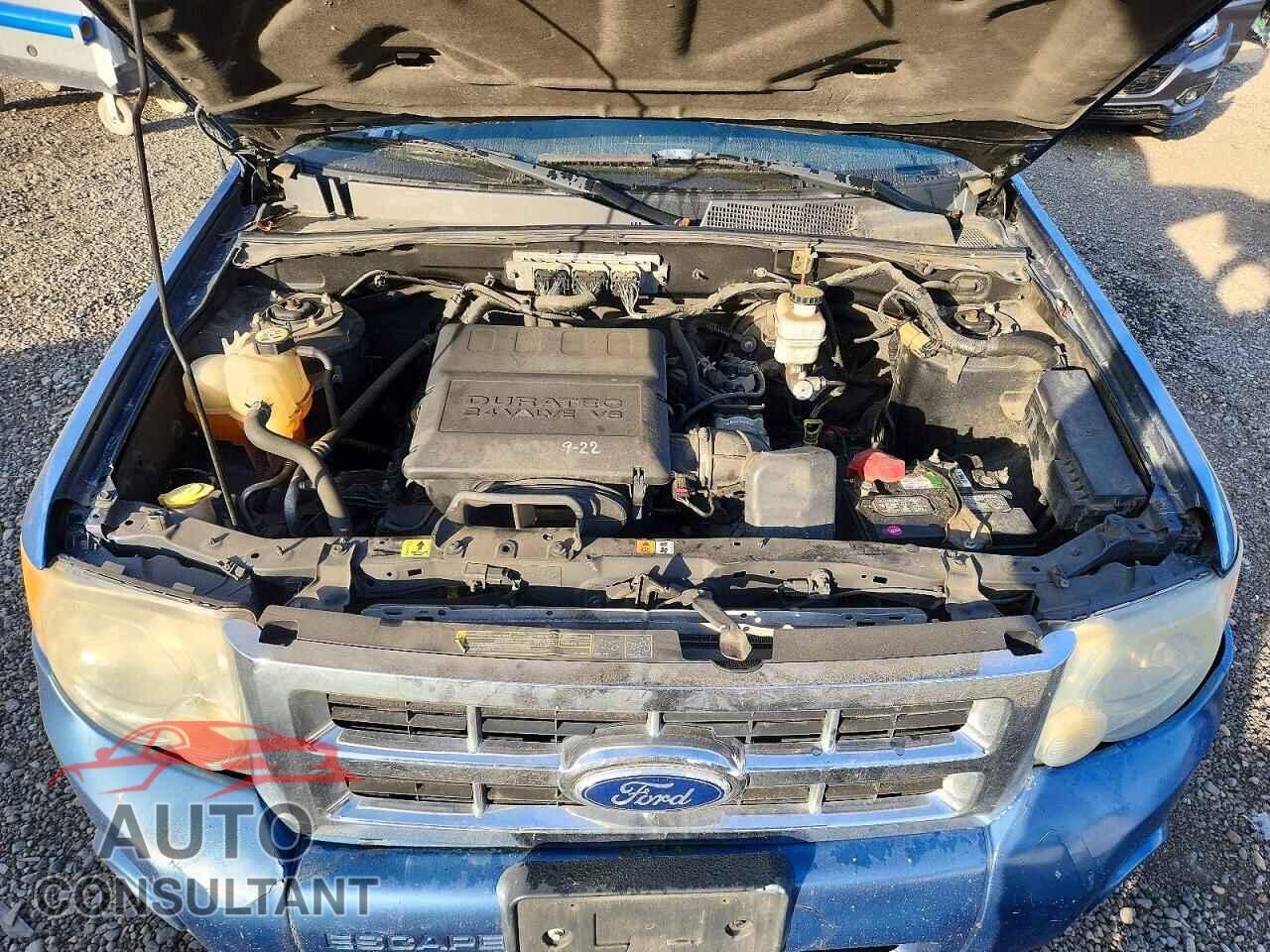 FORD ESCAPE 2010 - 1FMCU9DG6AKB80843