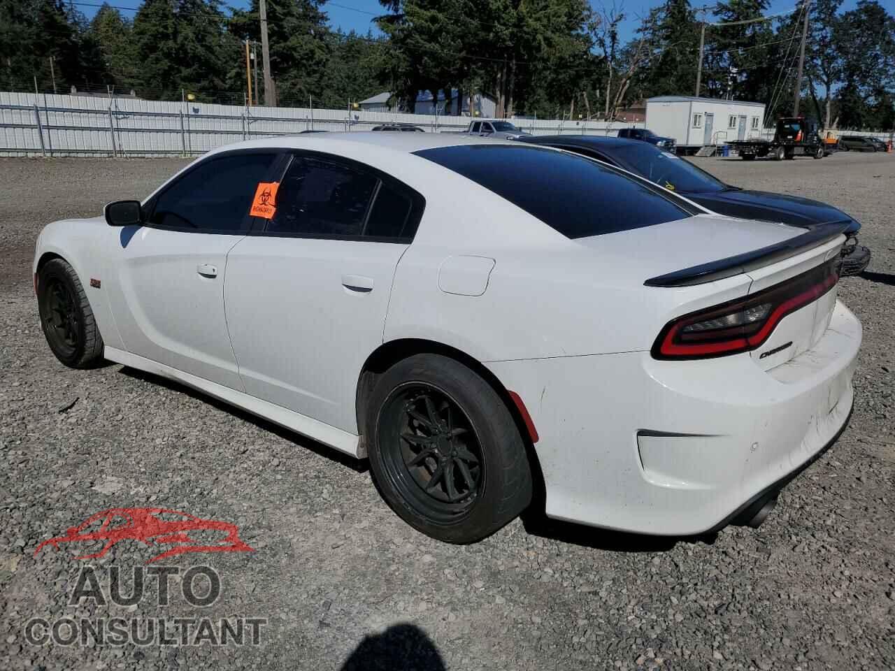 DODGE CHARGER 2019 - 2C3CDXGJ5KH665990