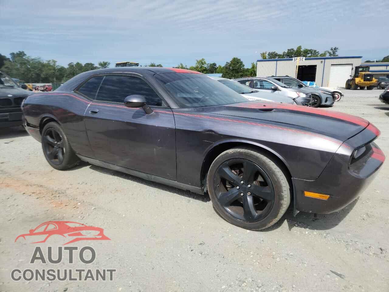 DODGE CHALLENGER 2013 - 2C3CDYAG2DH641507