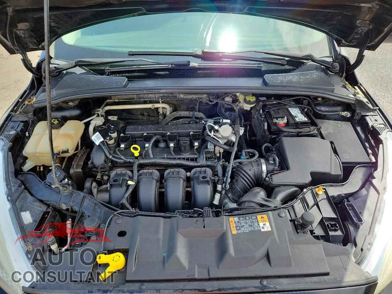 FORD FOCUS 2016 - 1FADP3K24GL348069