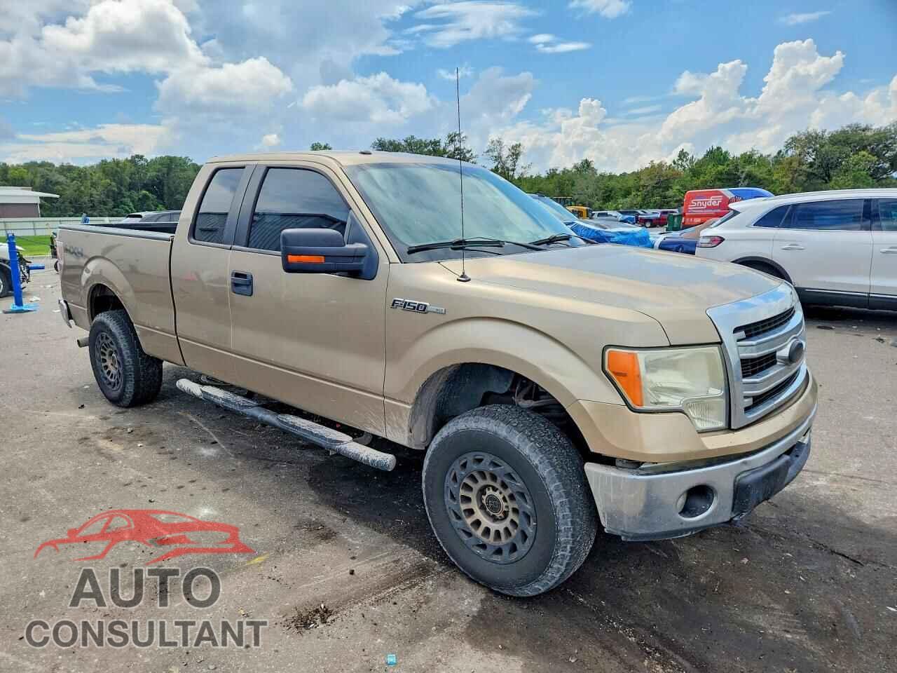 FORD F150 2013 - 1FTFX1EF7DFA51118
