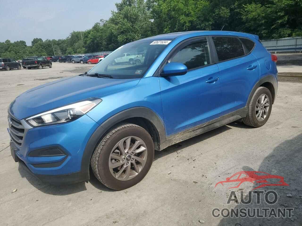 HYUNDAI TUCSON 2018 - KM8J2CA40JU644430