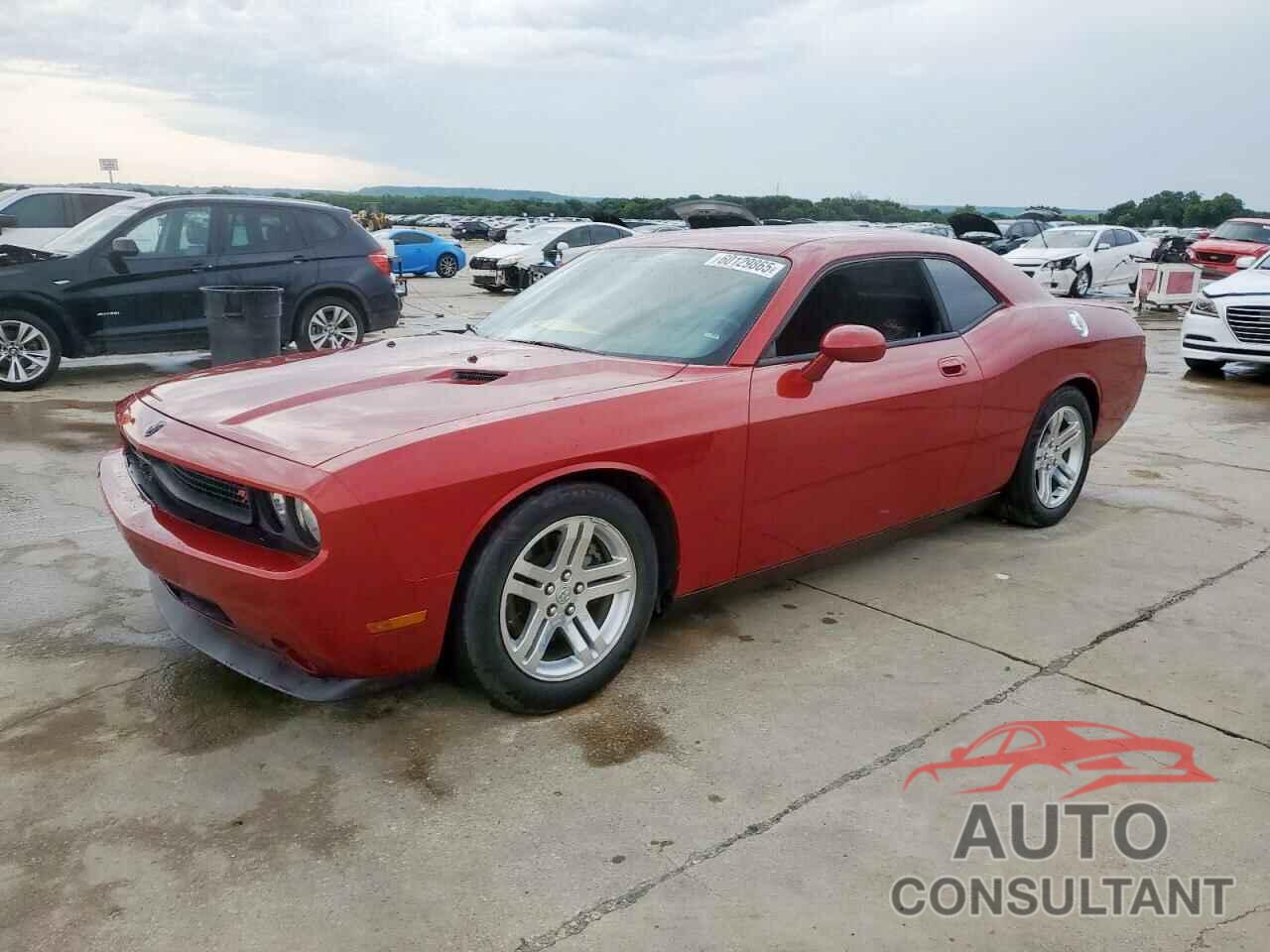 DODGE CHALLENGER 2009 - 2B3LJ54T49H503245