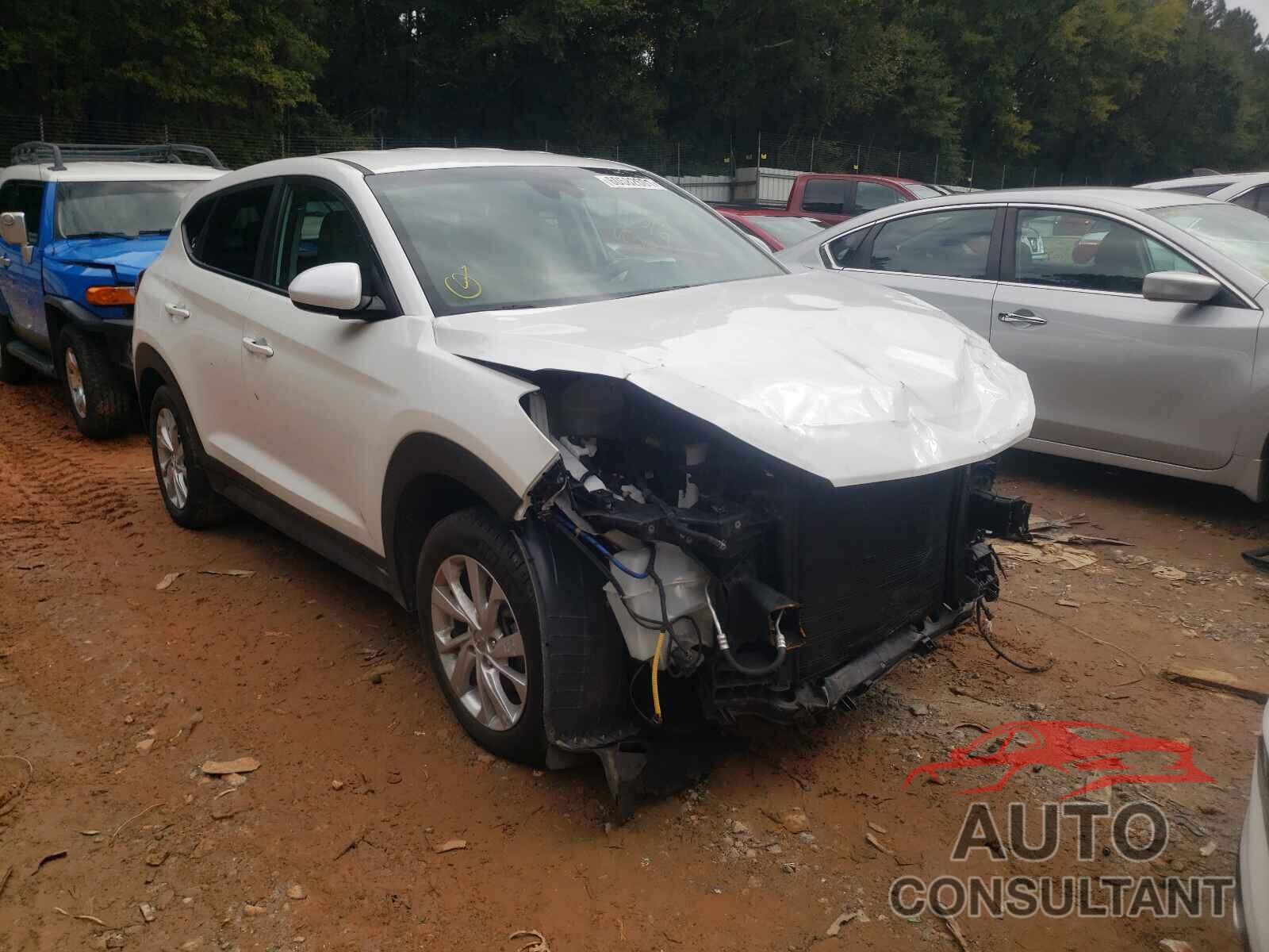 HYUNDAI TUCSON 2019 - KM8J2CA42KU882233