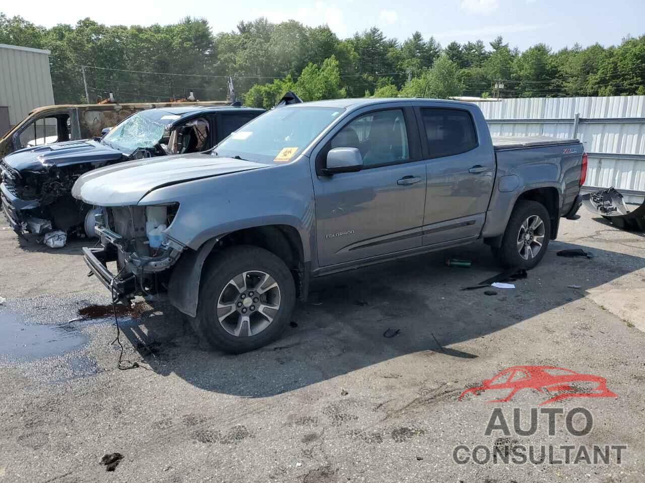 CHEVROLET COLORADO 2019 - 1GCGTDEN3K1311856