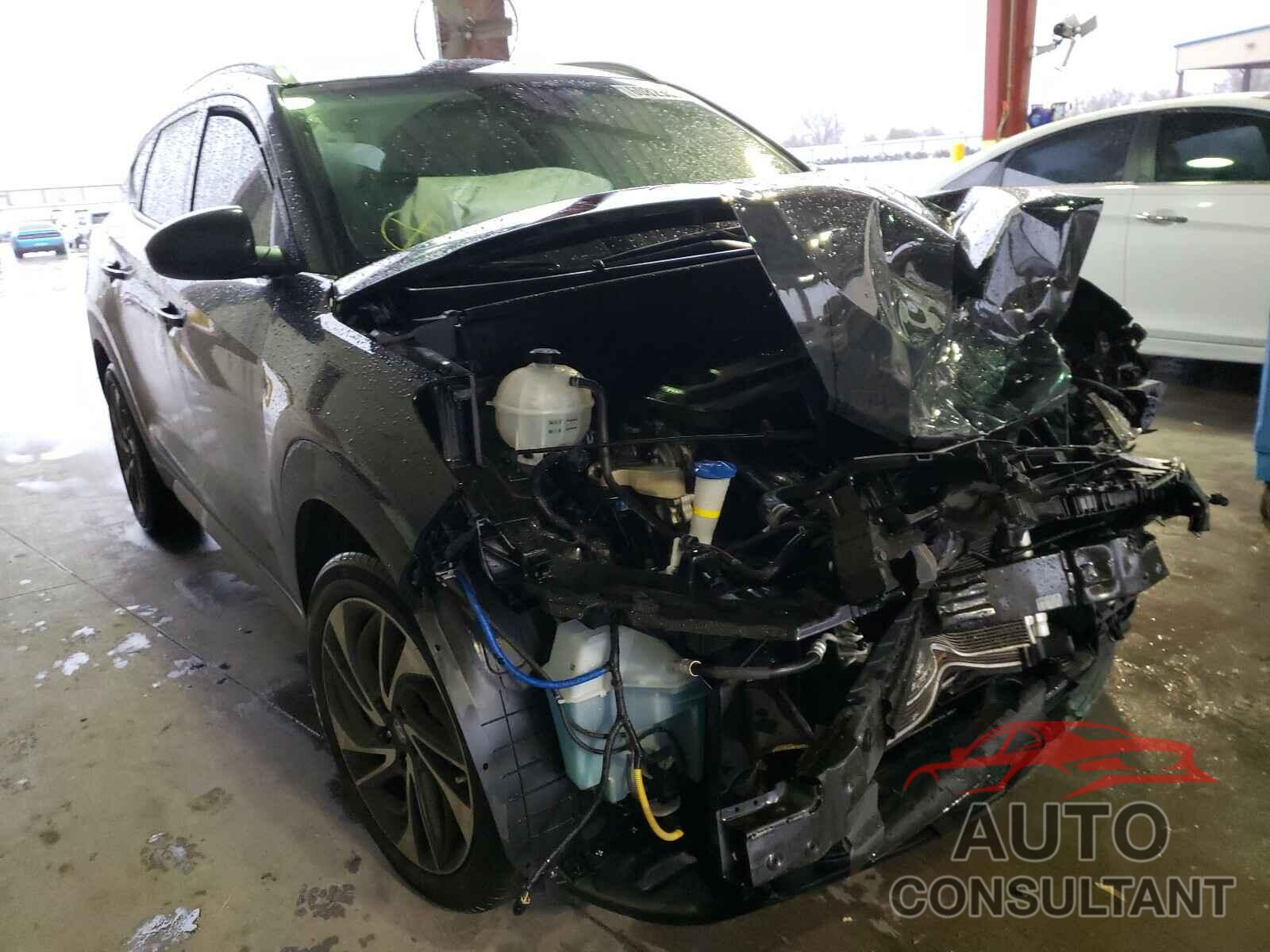 HYUNDAI TUCSON 2019 - KM8J33AL4KU894548