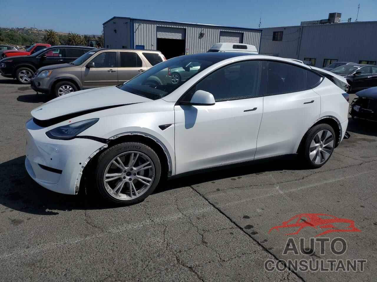 TESLA MODEL Y 2021 - 5YJYGDEE9MF213739