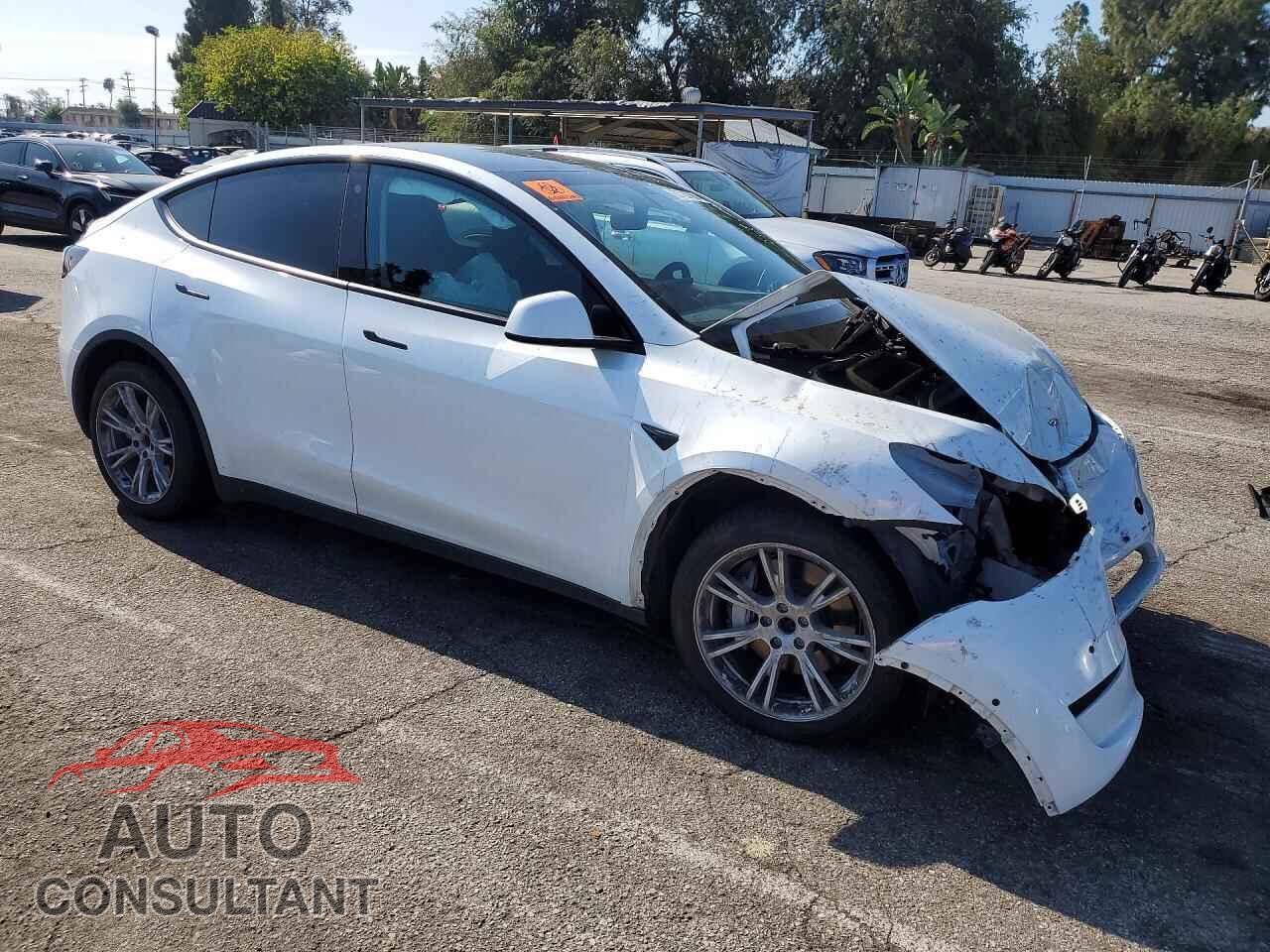 TESLA MODEL Y 2021 - 5YJYGDEEXMF069523