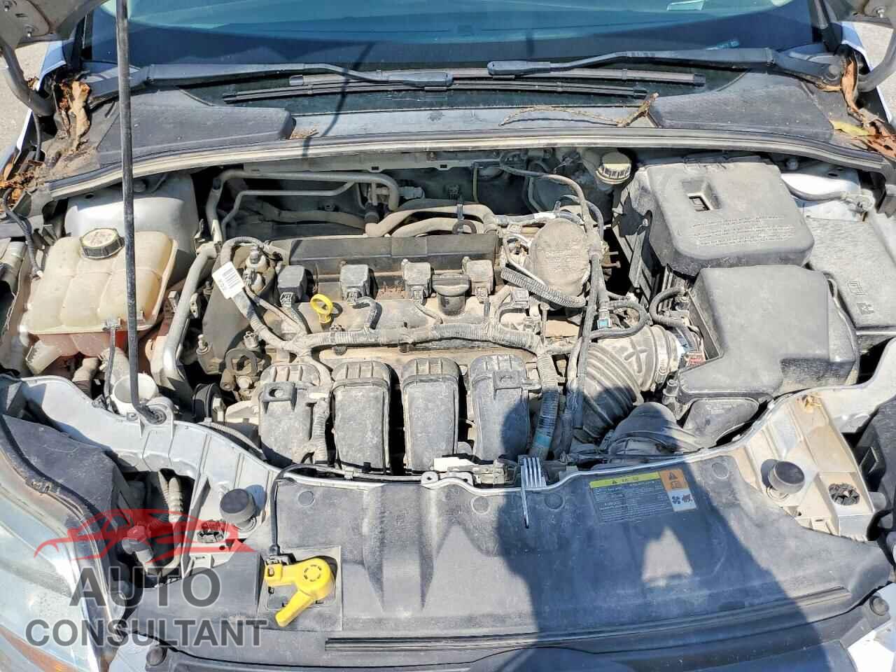 FORD FOCUS 2012 - 1FAHP3F28CL294717