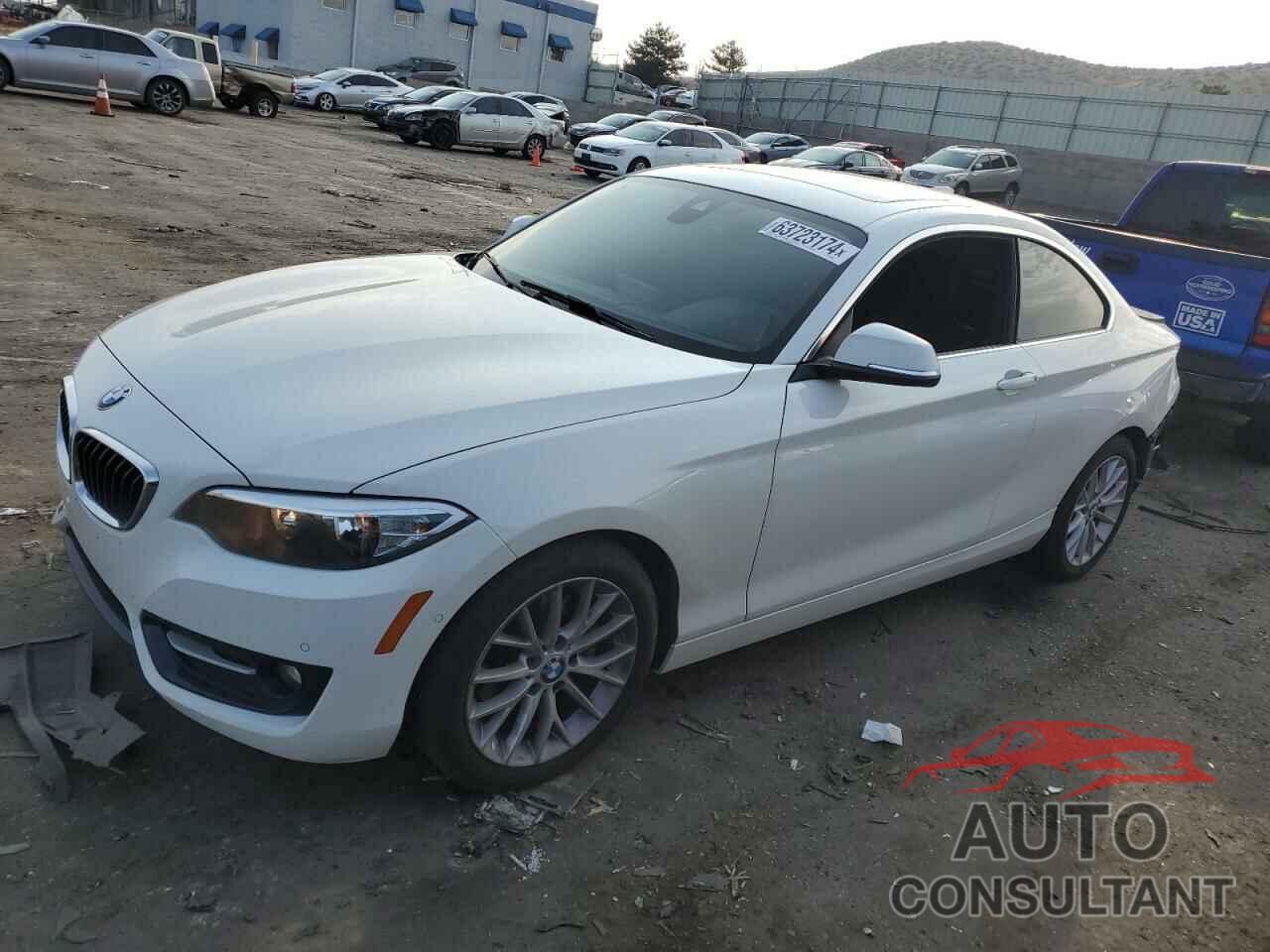 BMW 2 SERIES 2016 - WBA1G9C59GV599812