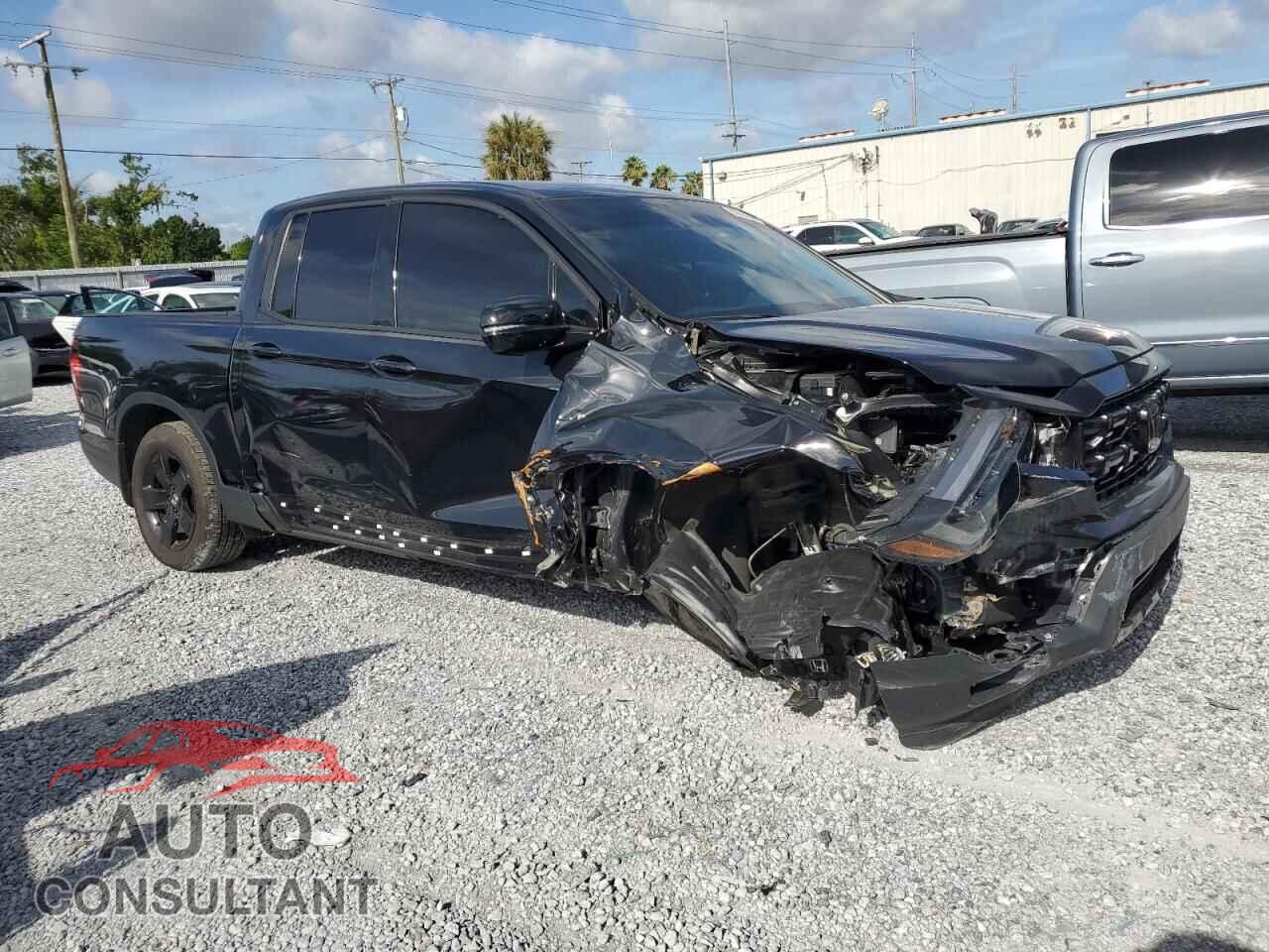 HONDA RIDGELINE 2024 - 5FPYK3F81RB024244
