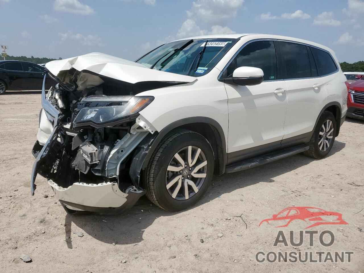 HONDA PILOT 2019 - 5FNYF6H51KB080059