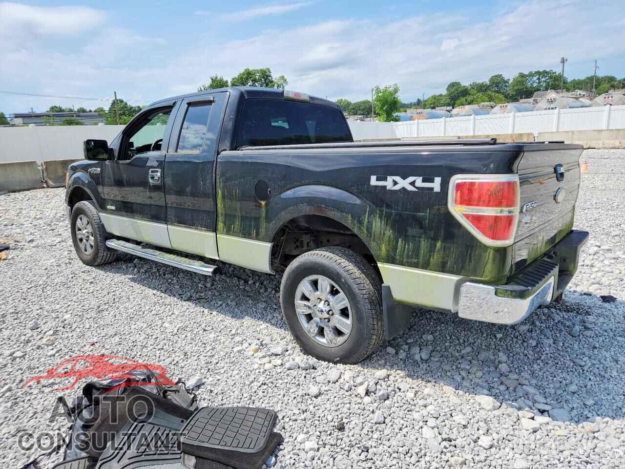 FORD F150 2012 - 1FTFX1ET3CFA54747