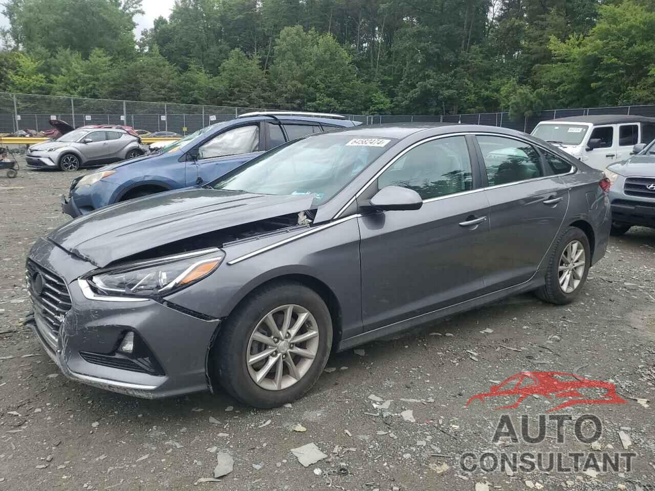 HYUNDAI SONATA 2019 - 5NPE24AF0KH787239