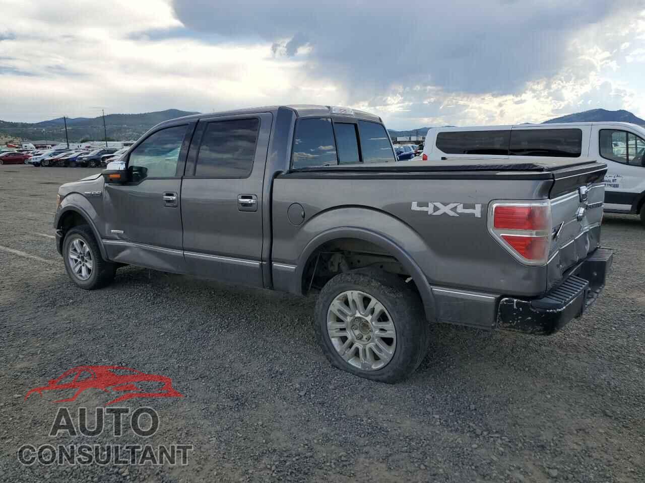 FORD F-150 2012 - 1FTFW1ET8CFC58284