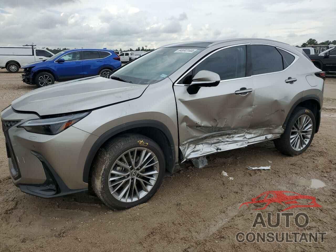 LEXUS NX 350 2022 - JTJHGCEZ6N2007244