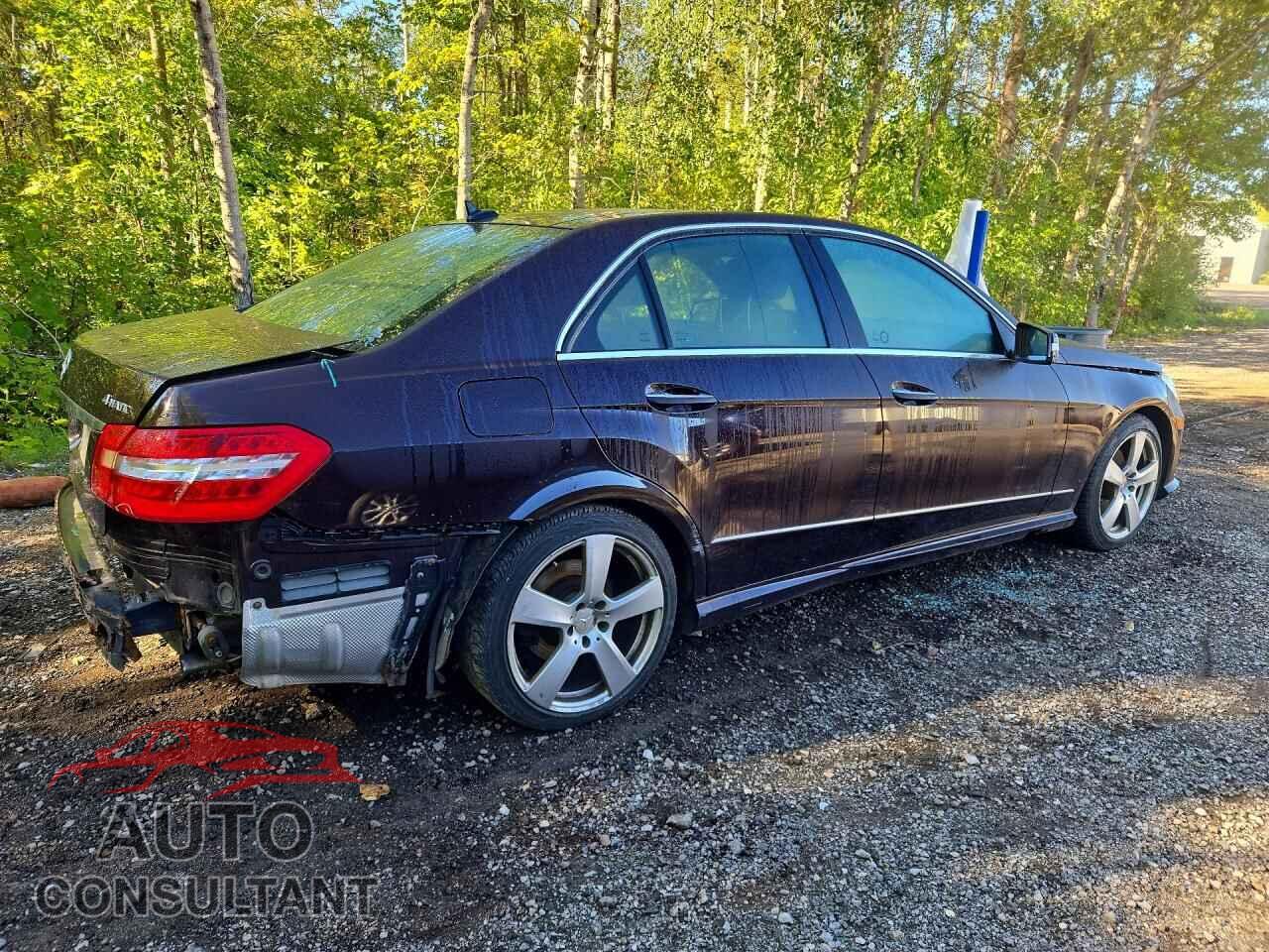 MERCEDES-BENZ E-CLASS 2010 - WDDHF8HB6AA086163