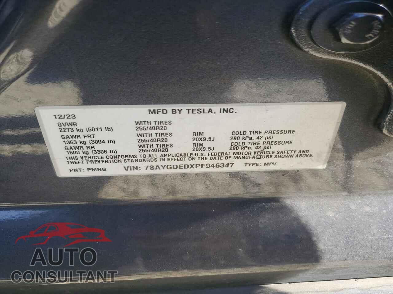 TESLA MODEL Y 2023 - 7SAYGDEDXPF946347