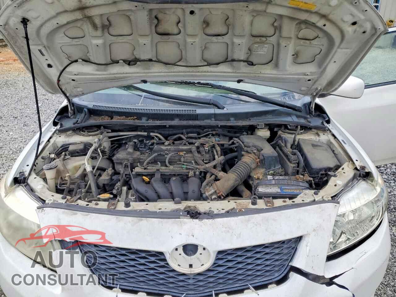 TOYOTA COROLLA 2010 - 2T1BU4EE7AC363542