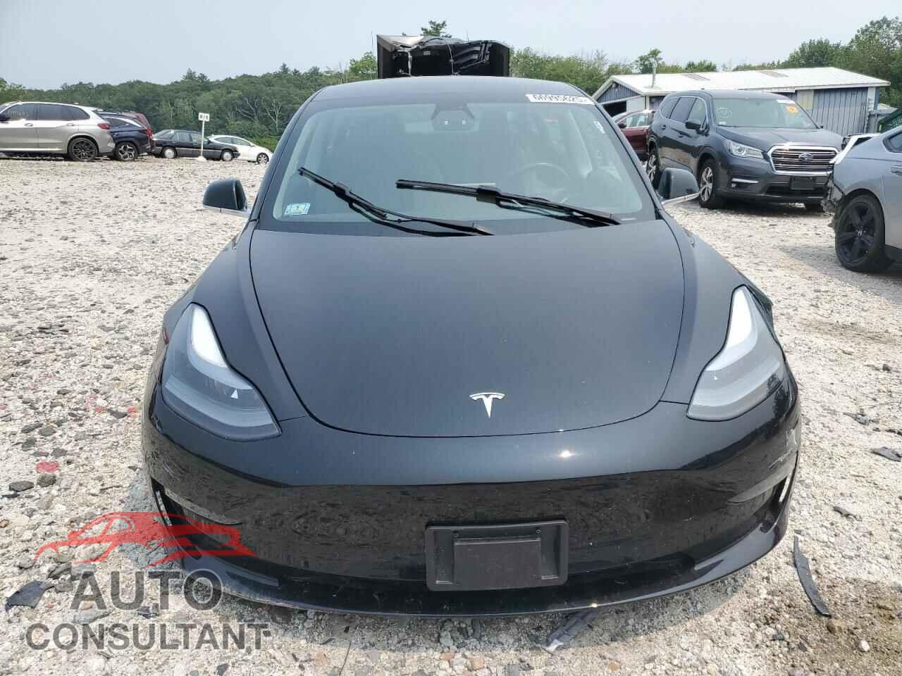 TESLA MODEL 3 2019 - 5YJ3E1EB5KF389124