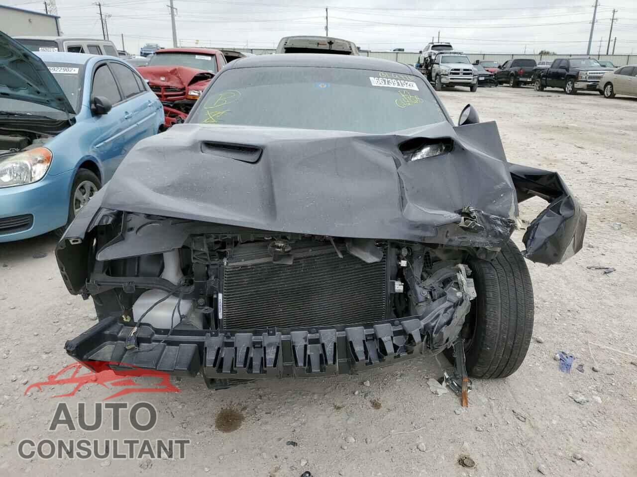 DODGE CHALLENGER 2019 - 2C3CDZAG2KH668628