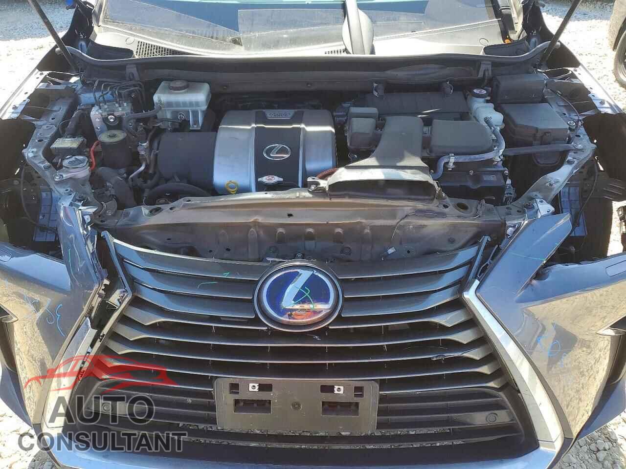 LEXUS RX450 2019 - 2T2BGMCAXKC033009