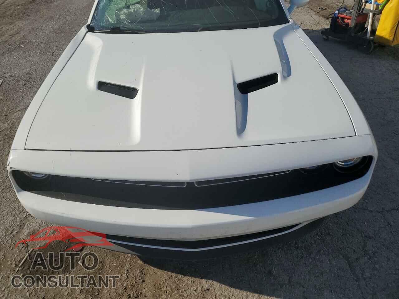 DODGE CHALLENGER 2019 - 2C3CDZAGXKH565392
