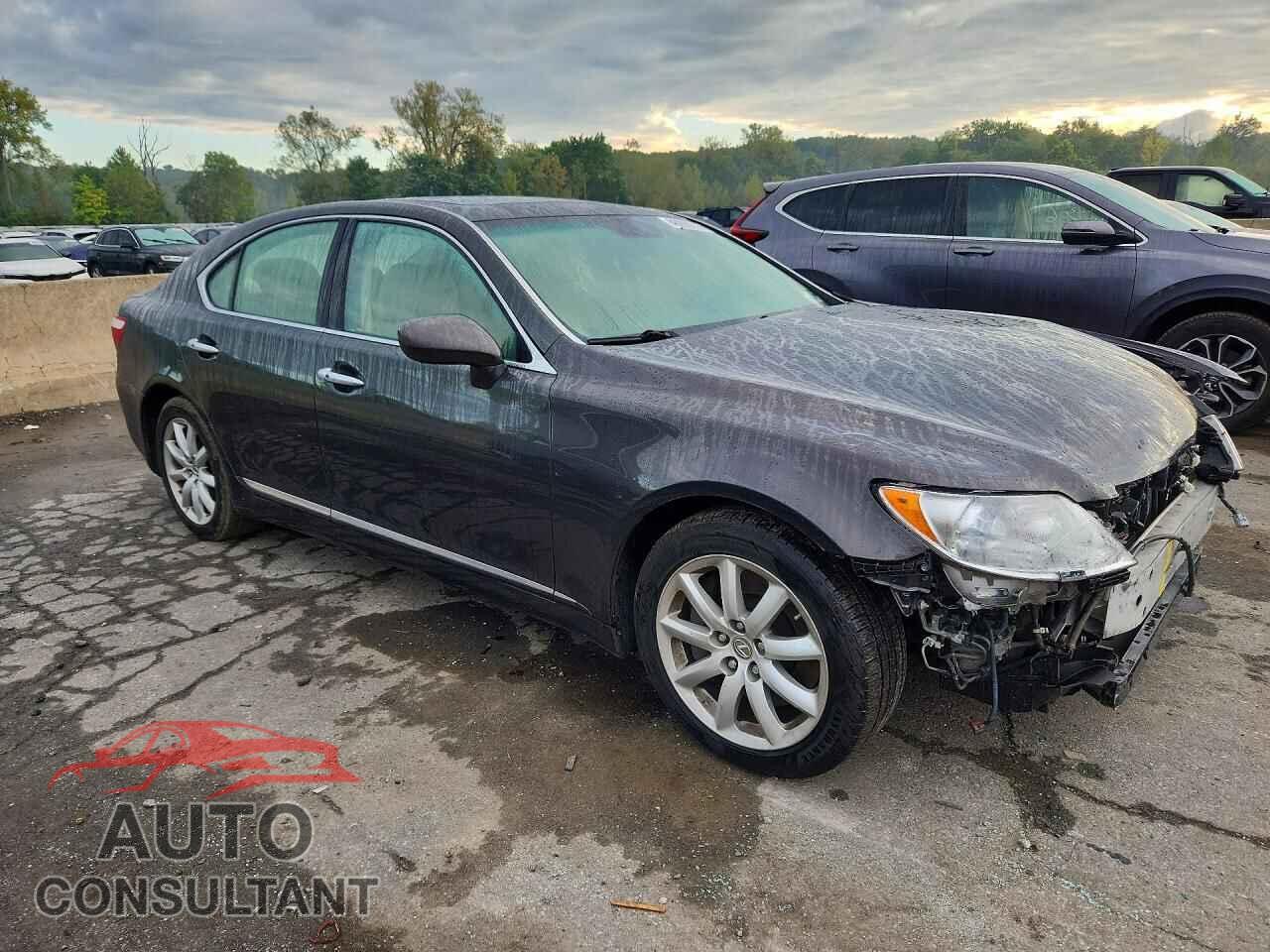 LEXUS LS460 2009 - JTHCL46F695000574