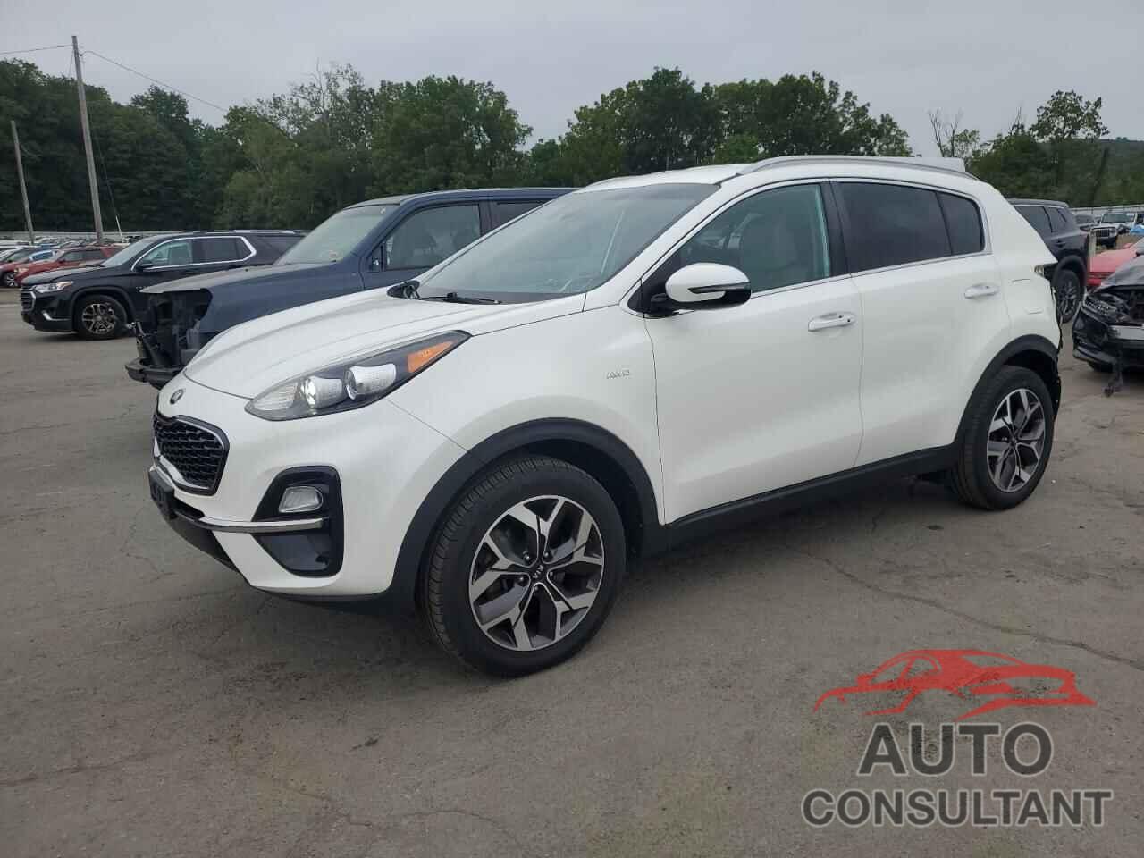KIA SPORTAGE 2020 - KNDPNCAC3L7750773
