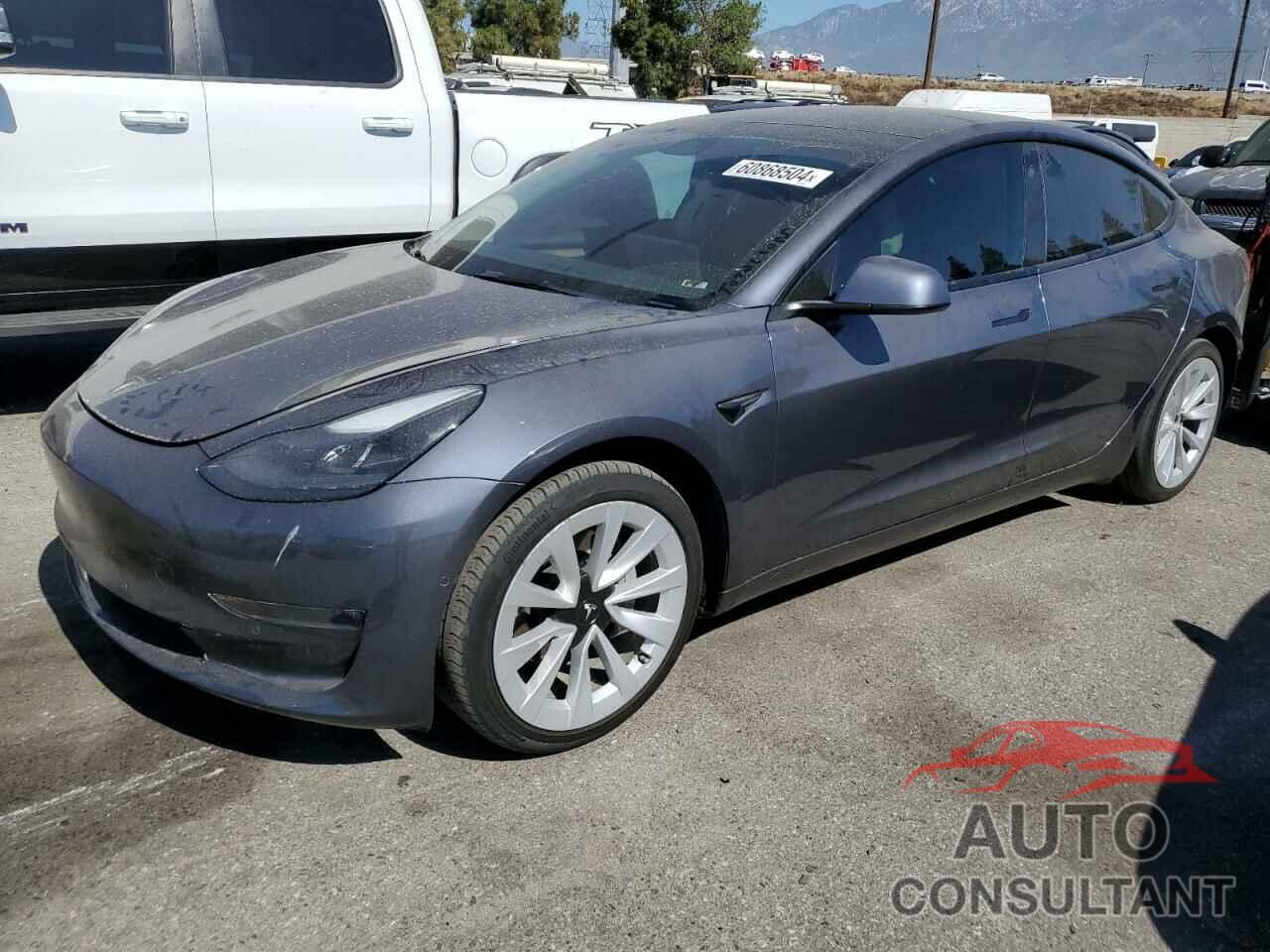 TESLA MODEL 3 2022 - 5YJ3E1EB7NF113600