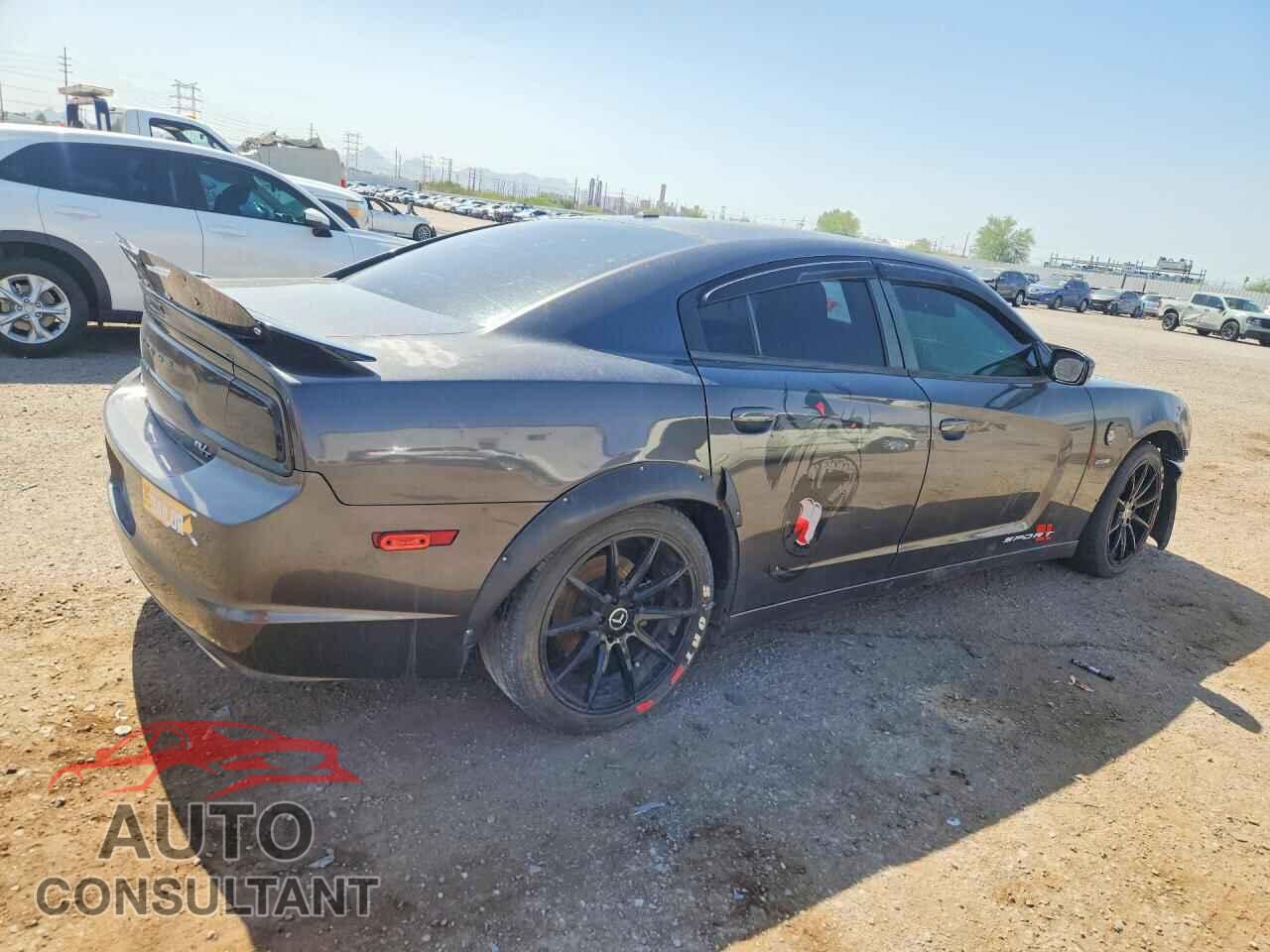 DODGE CHARGER 2014 - 2C3CDXCTXEH369097