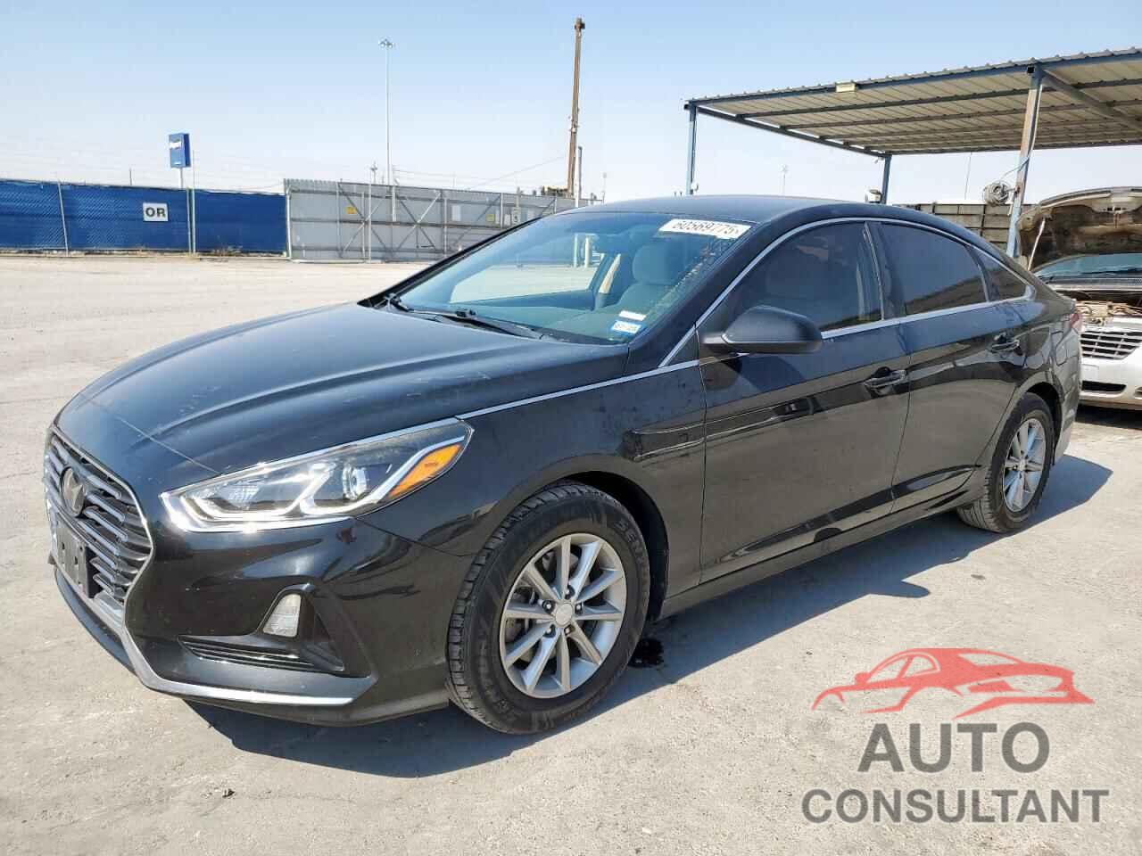 HYUNDAI SONATA 2019 - 5NPE24AF7KH746946