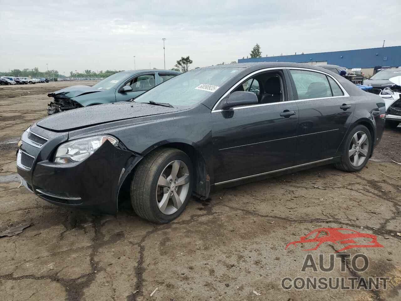 CHEVROLET MALIBU 2011 - 1G1ZC5E1XBF320206