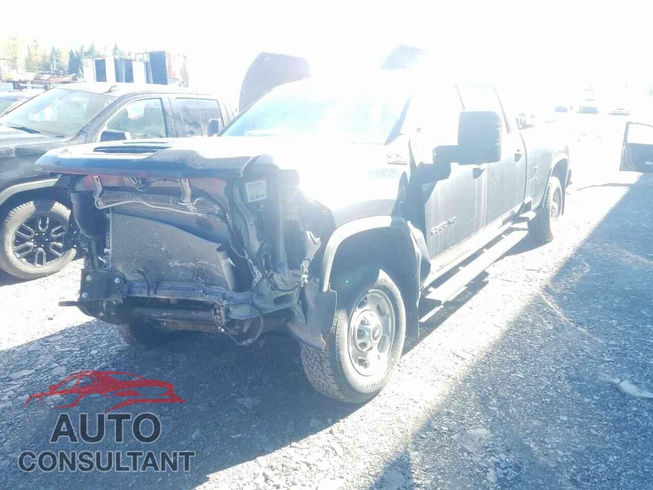 CHEVROLET SILVERADO 2020 - 1GC1YLE74LF298428