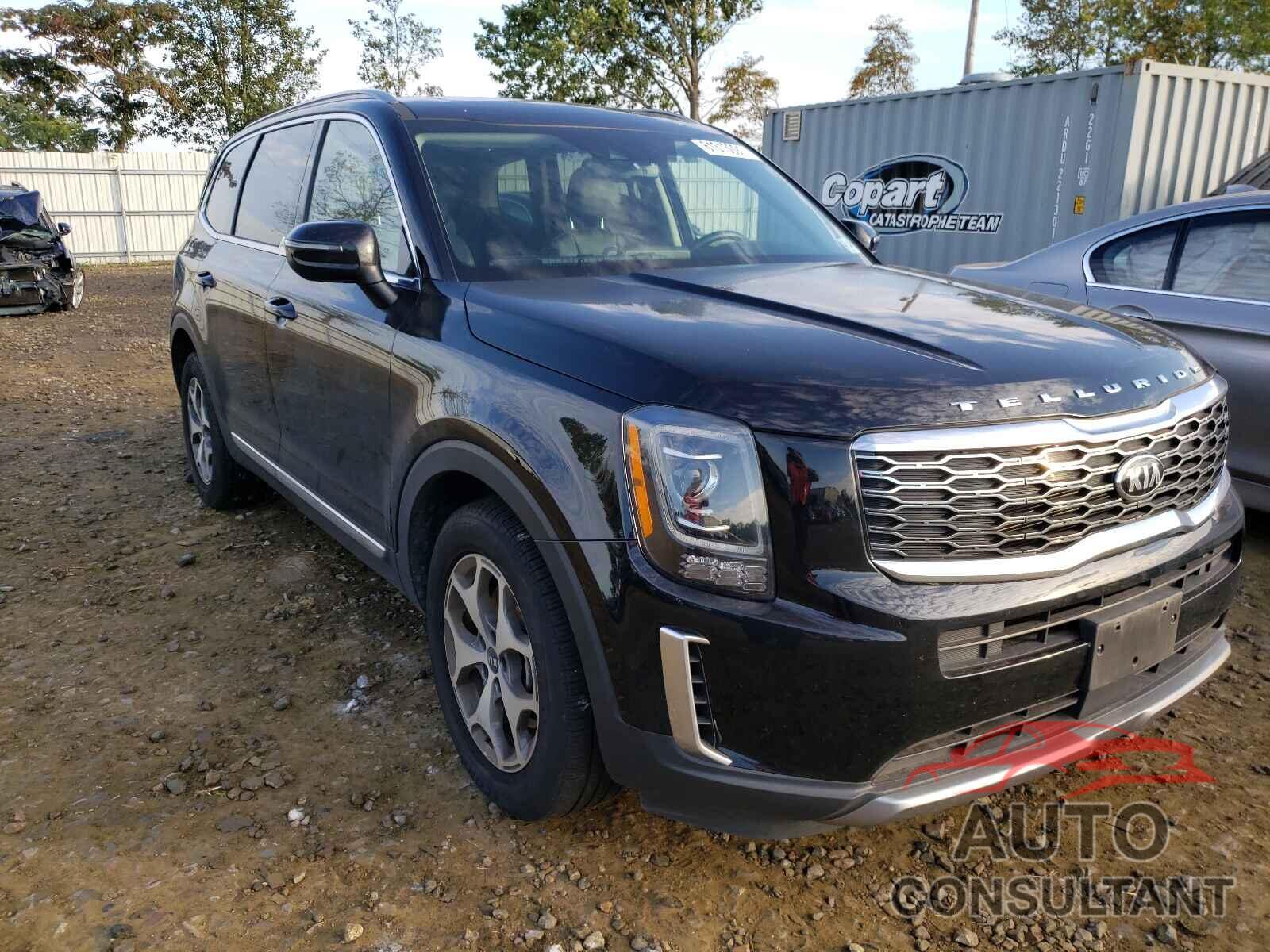 KIA TELLURIDE 2020 - 5XYP34HCXLG041052