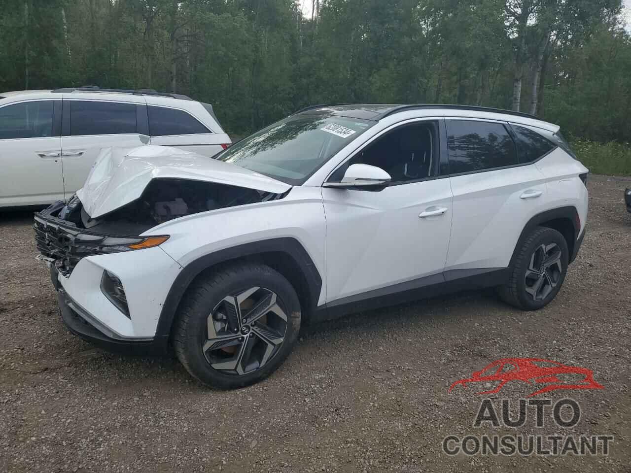 HYUNDAI TUCSON 2023 - KM8JCCA11PU119291