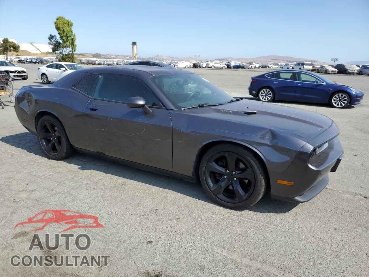 DODGE CHALLENGER 2014 - 2C3CDYBT4EH302454