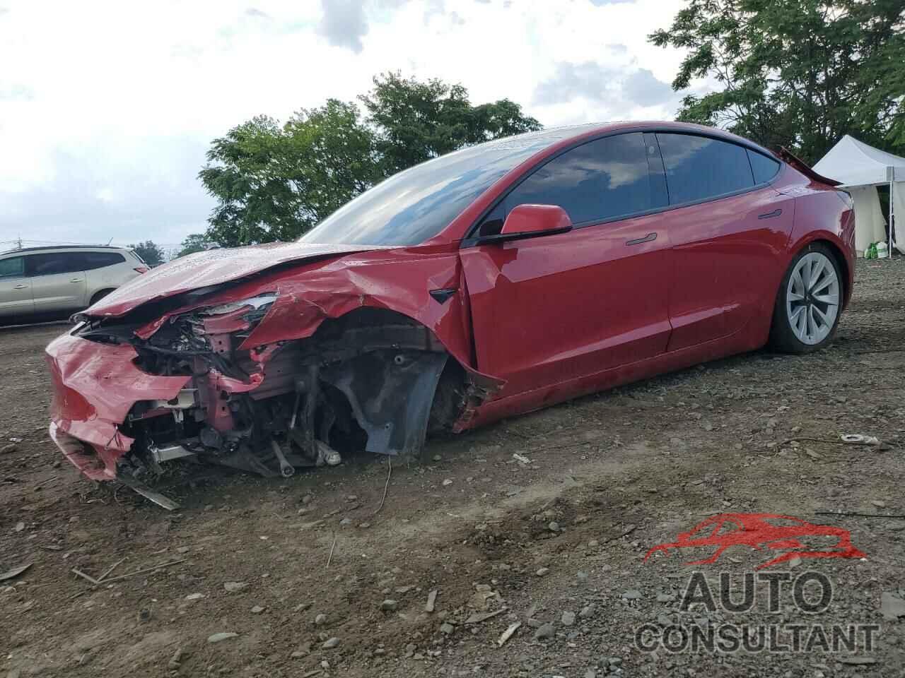 TESLA MODEL 3 2021 - 5YJ3E1EBXMF079781