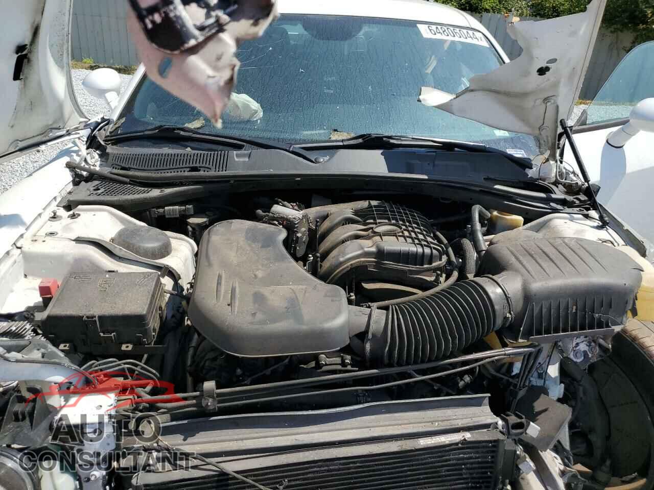 DODGE CHALLENGER 2019 - 2C3CDZAG3KH524666
