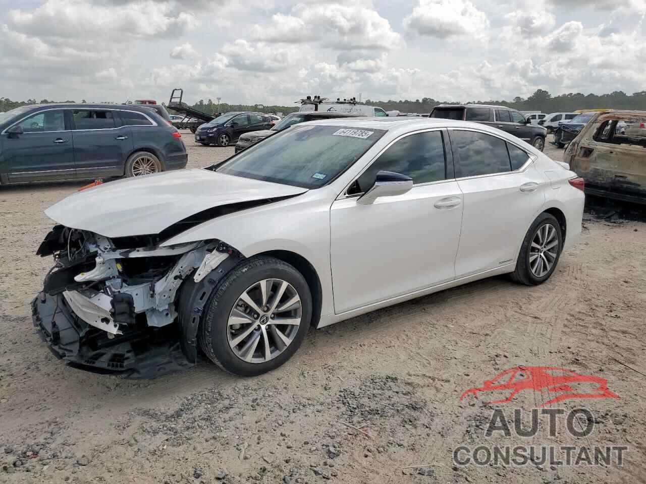 LEXUS ES300 2020 - 58AD21B16LU011819