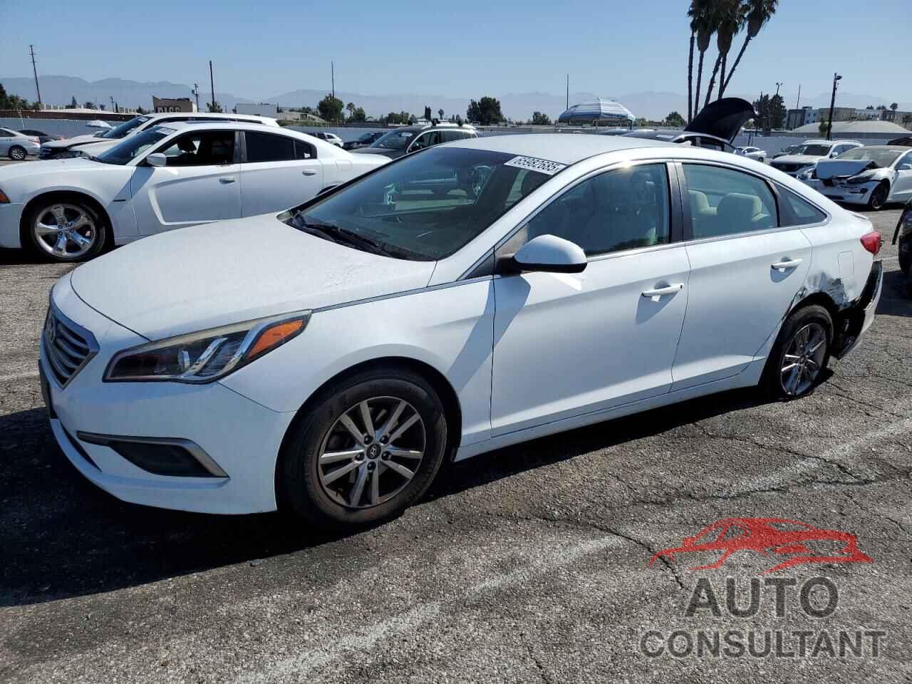 HYUNDAI SONATA 2017 - 5NPE24AF3HH516166