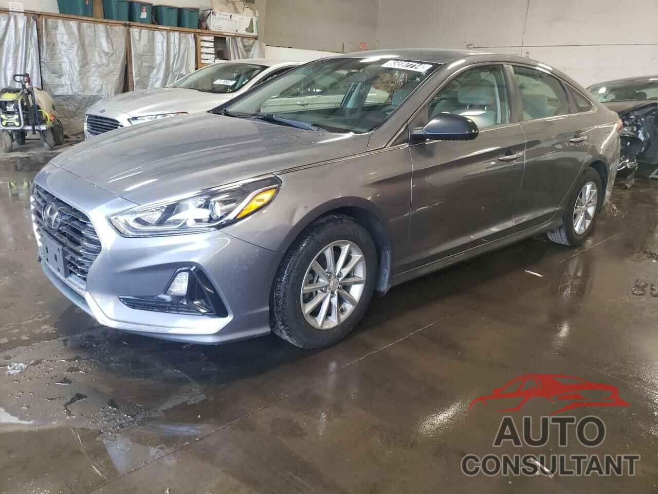 HYUNDAI SONATA 2019 - 5NPE24AF2KH804137