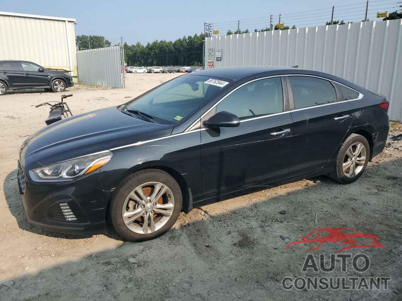 HYUNDAI SONATA 2019 - 5NPE34AF9KH781386