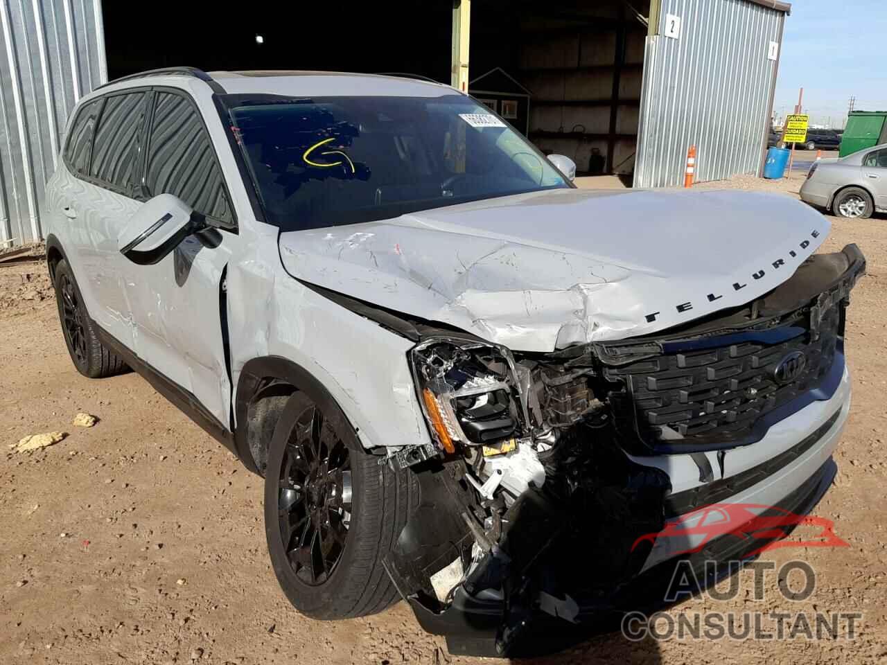 KIA TELLURIDE 2021 - 5XYP3DHC2MG131734