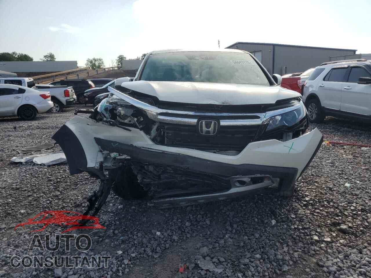 HONDA RIDGELINE 2019 - 5FPYK3F77KB009082