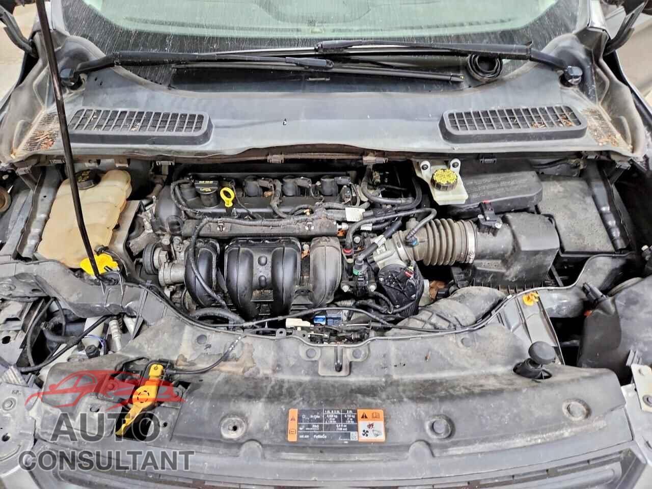 FORD ESCAPE 2014 - 1FMCU0F78EUC07060