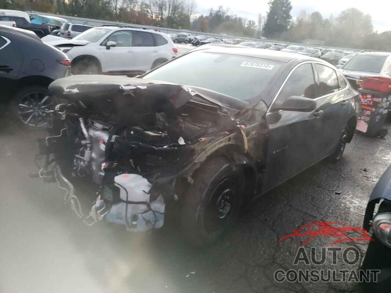 CHEVROLET MALIBU 2019 - 1G1ZD5ST7KF173717
